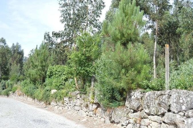 Land in Pinheiro - view 1