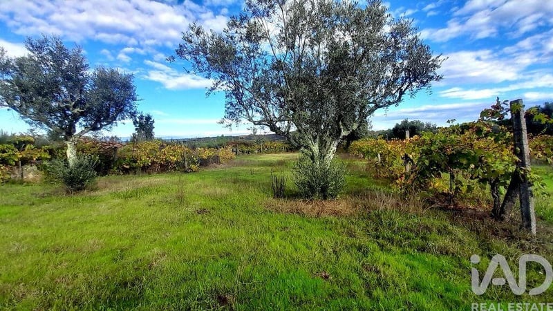 Land in Seixo da Beira - view 1