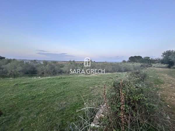 House in Victoria - view 1