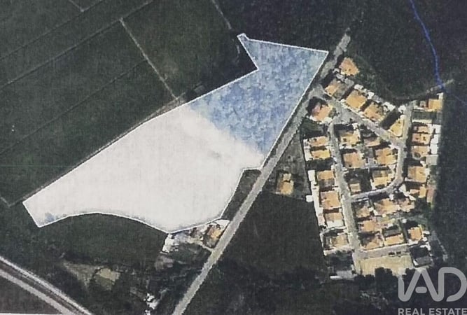 Land in Aveleda - view 1