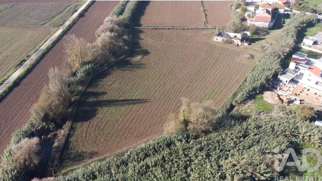 Land in Ribeira de Sao Joao - Image 2