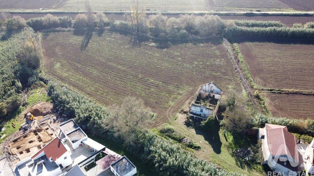 Land in Ribeira de Sao Joao