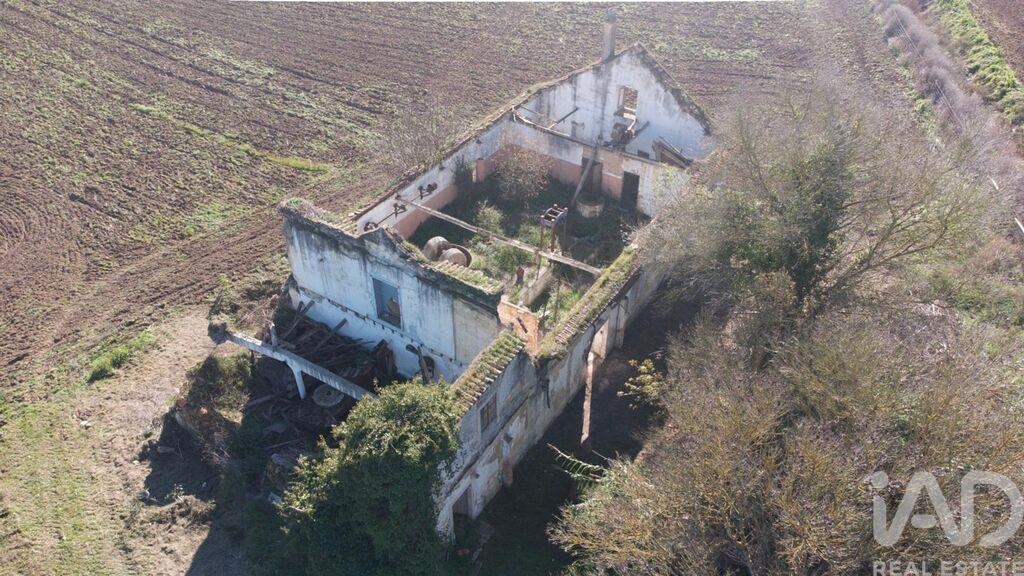 Land in Ribeira de Sao Joao - Image 3