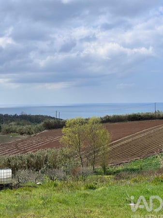 Land in Lourinha - view 1