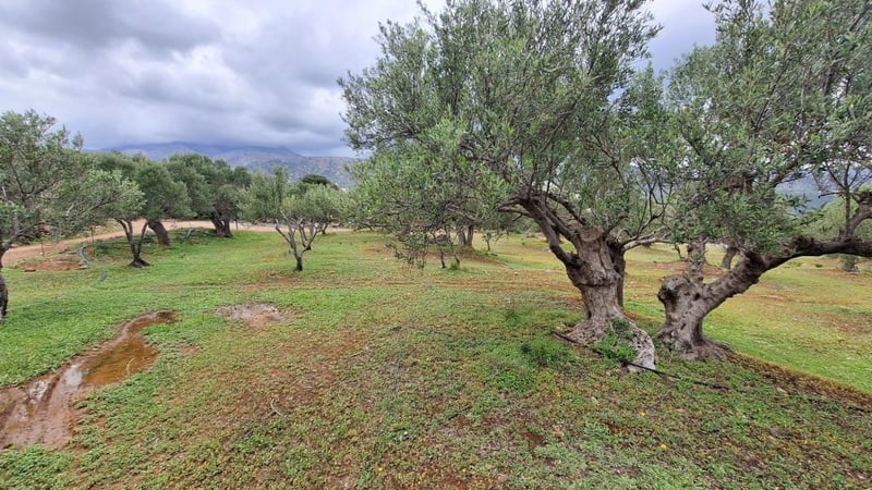 House in Agios Nikolaos - view 1