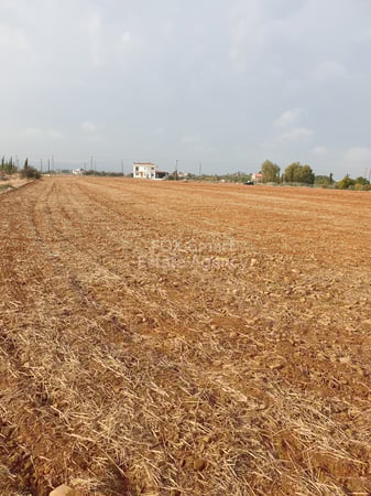 Land in Pera - view 1