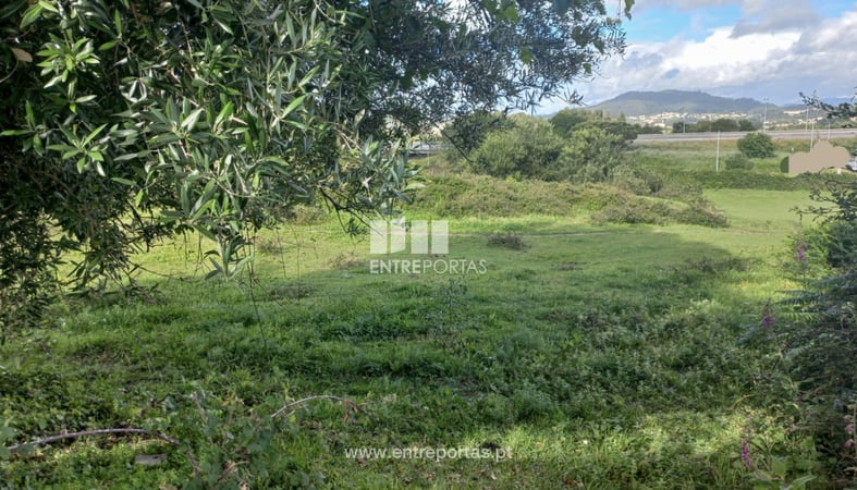 House in Viana do Castelo - view 1