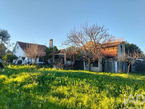 House in Chaos - view 1