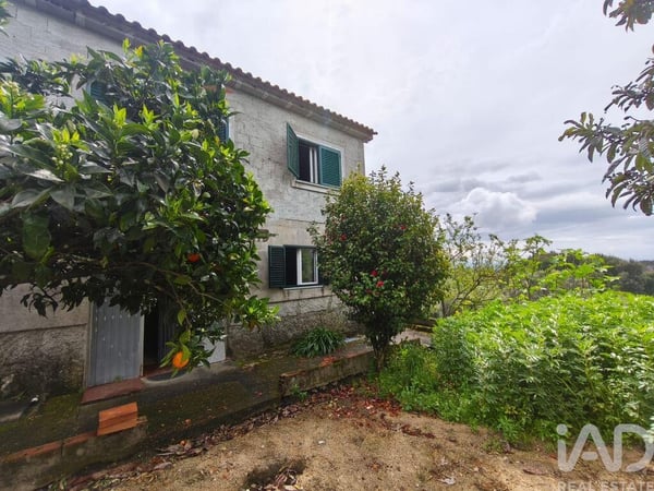 House in Nelas - view 1