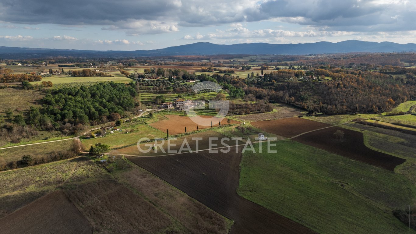 House in Colle di Val d'Elsa - Image 3