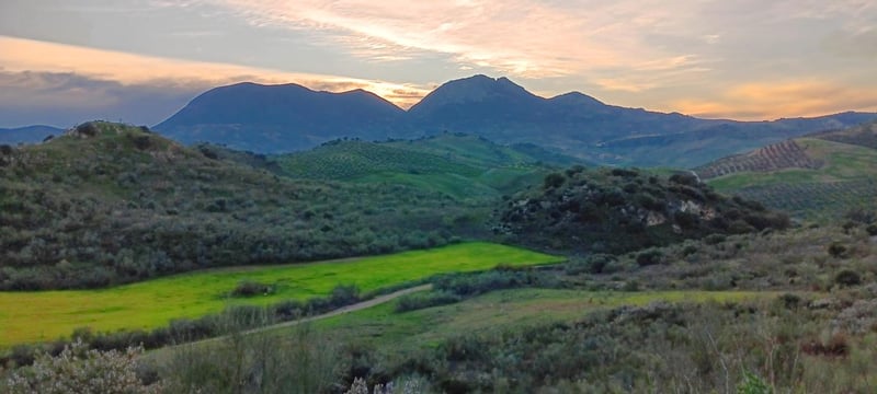 Country Estate in Casablanca - view 1