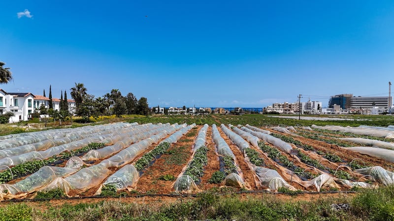 House in Paralimni - view 1
