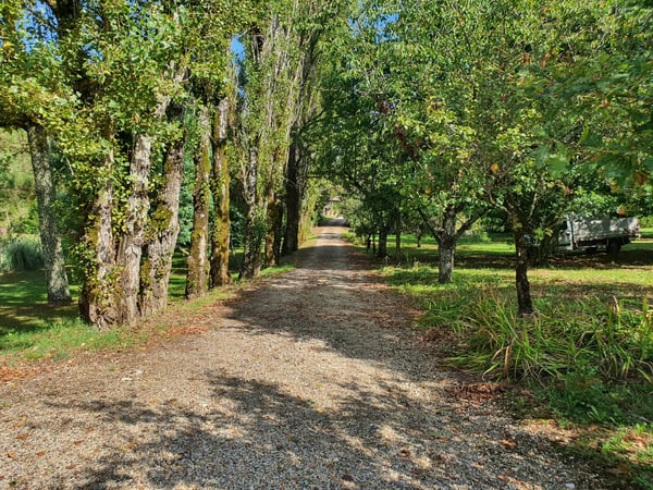 House in Saussignac - view 1