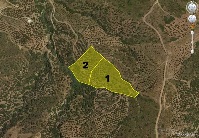 House in Lasithi - view 1