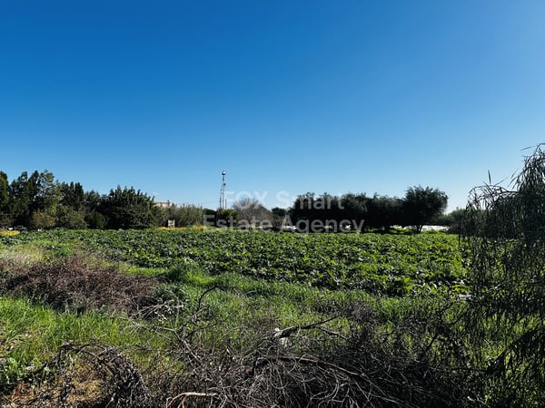 Land in Ammochostos Municipality - view 1