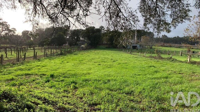 Land in Cortes - view 1