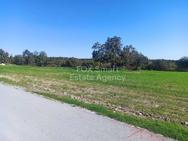 Land in Anogyra - view 1