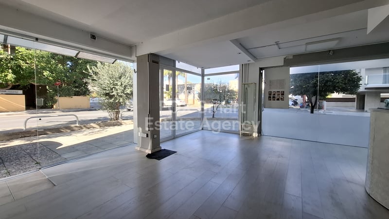 House in Dasoupolis - view 1