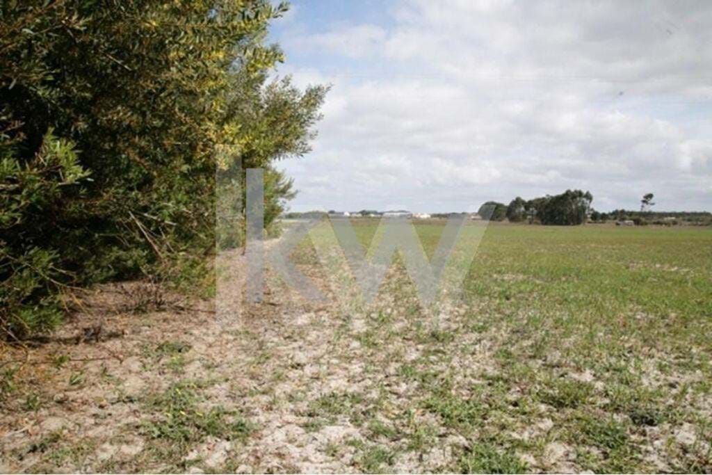 Land in Odemira - Image 2