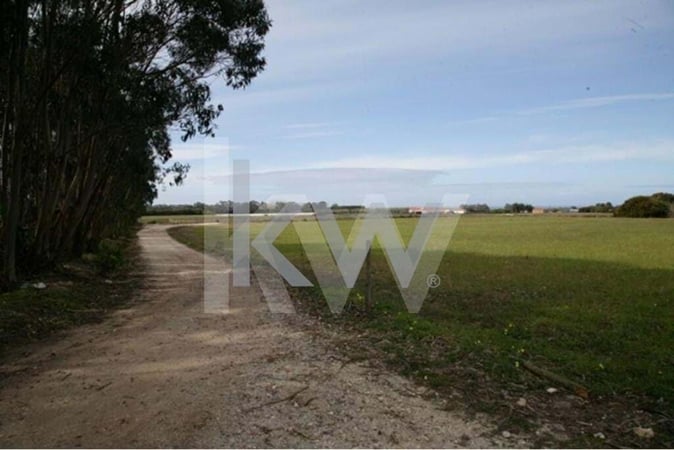 Land in Odemira - view 1