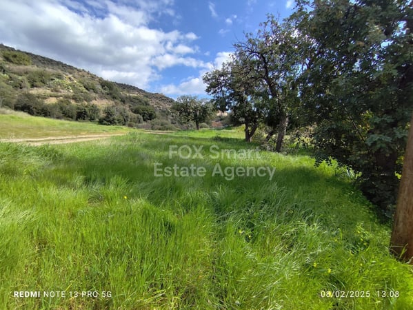 Land in Asgata - view 1