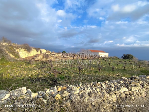 Land in Asgata - view 1