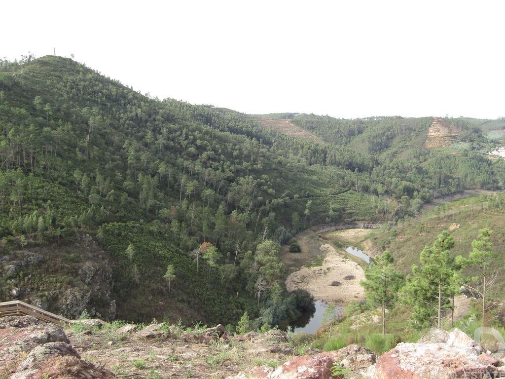 House in Santiago de Montalegre - Image 3
