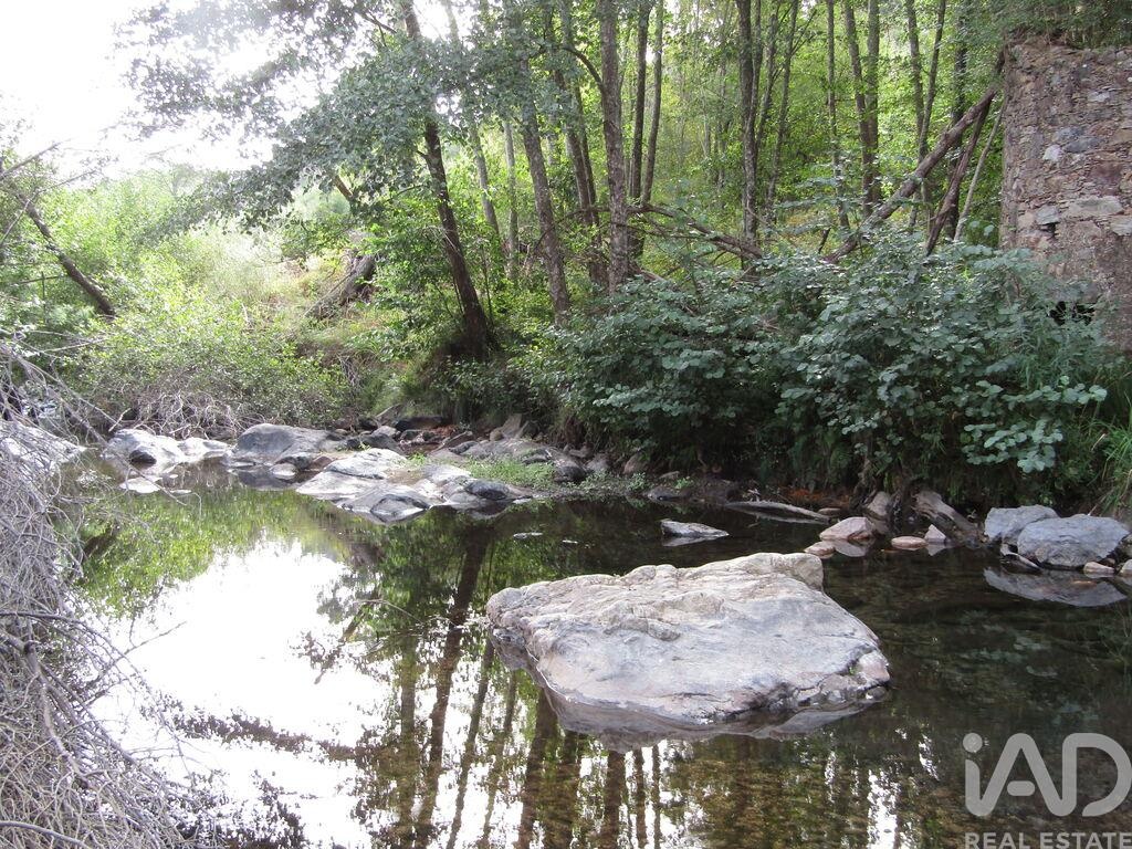 House in Santiago de Montalegre - Image 2