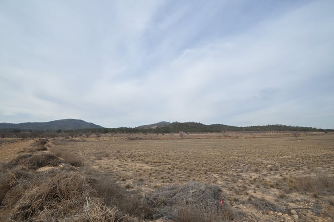 Land in Monovar - view 1