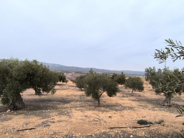 Land in Huertas de Villena - view 1