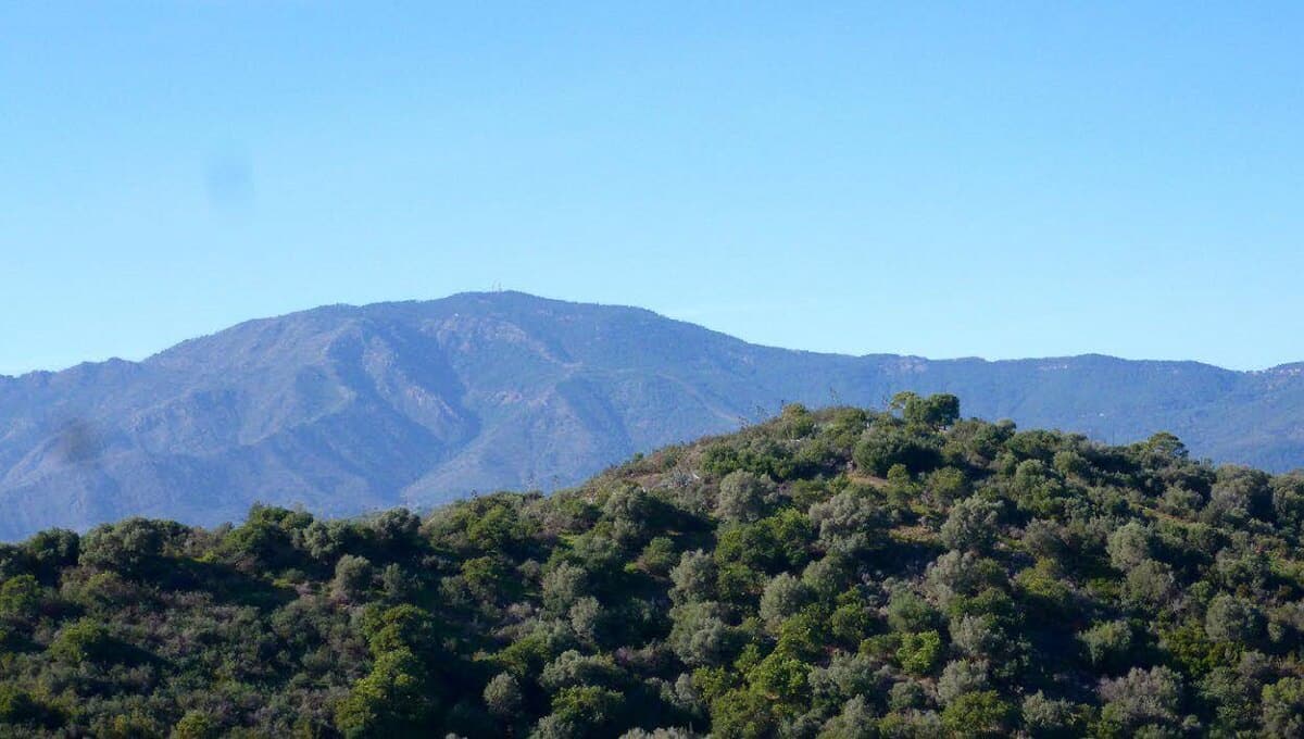 Land in Estepona - Image 2