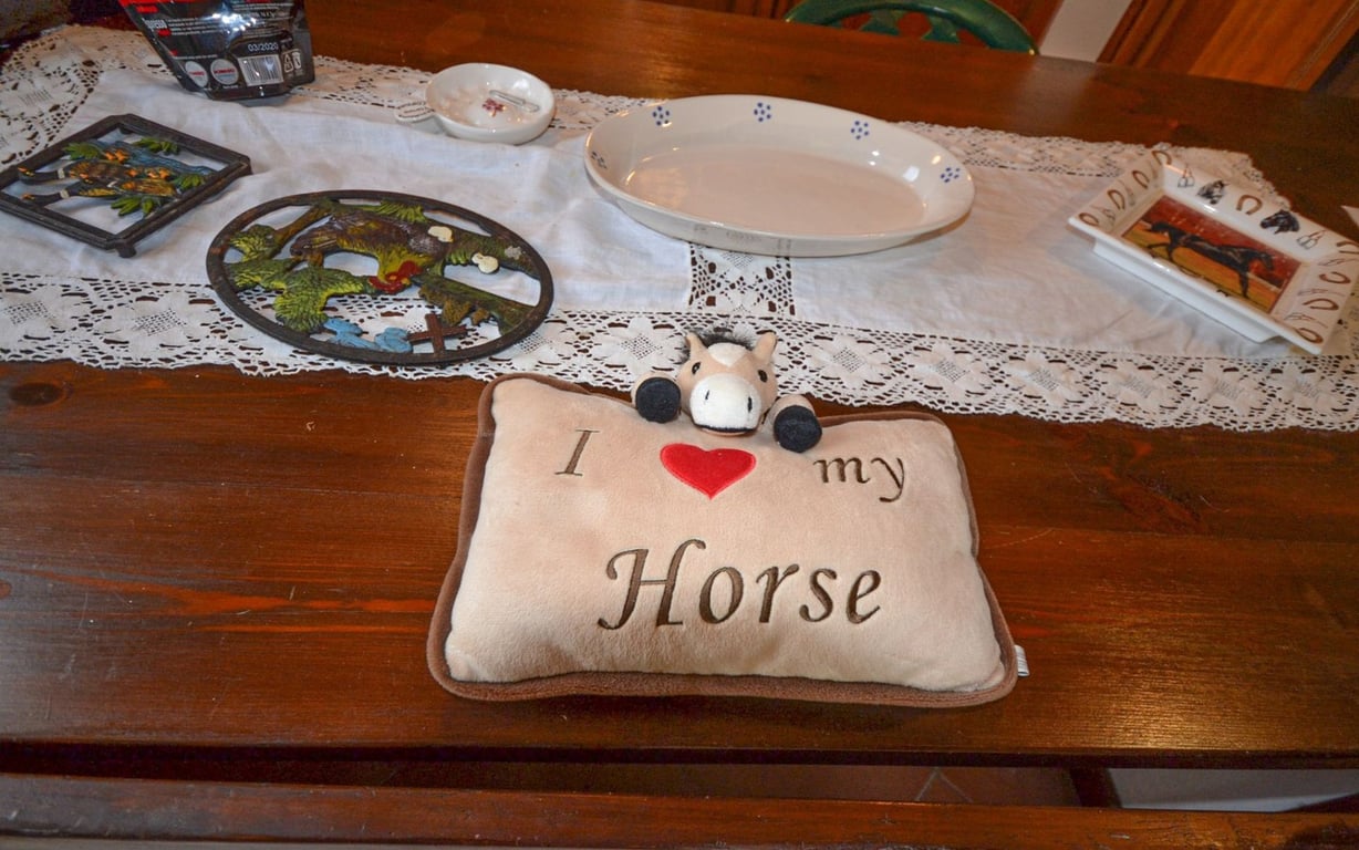 House in Sala - Image 2