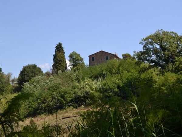 House in Ficulle - view 1