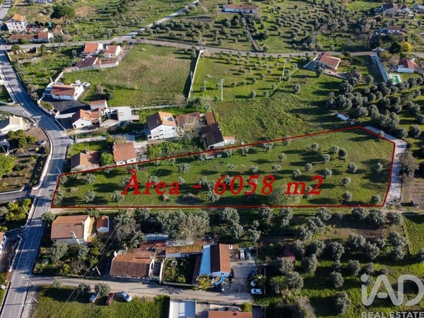 Land in Sao Pedro de Tomar - view 1