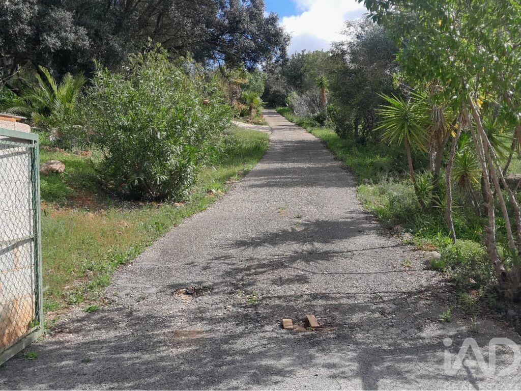 Land in Paderne - Image 3