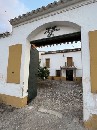 Villa in Antequera - view 1