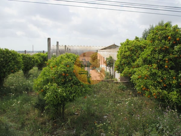 Land in Santa Barbara de Nexe - view 1