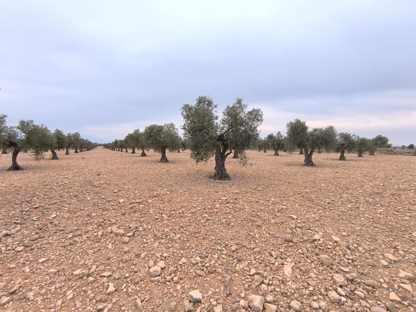 Land in Santa Cruz - view 1