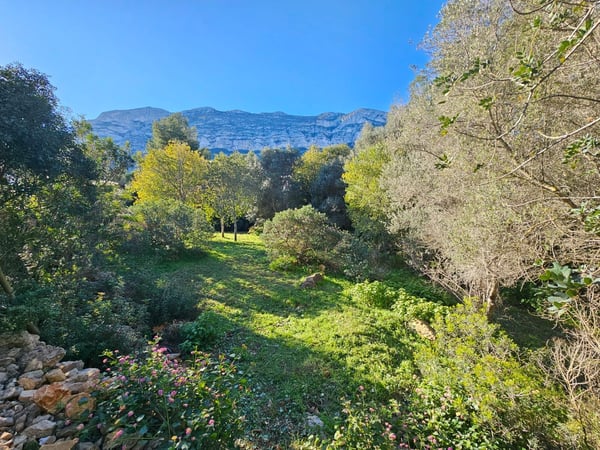 Land in Denia - view 1