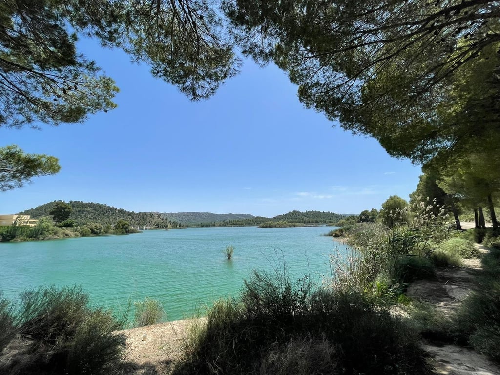 House in Canara - Image 3