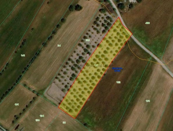 House in Konia - view 1