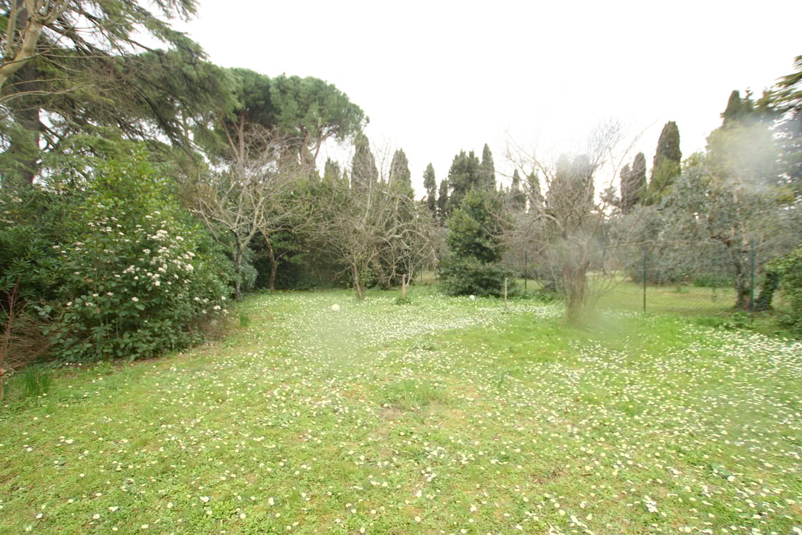 House in Lajatico - Image 5