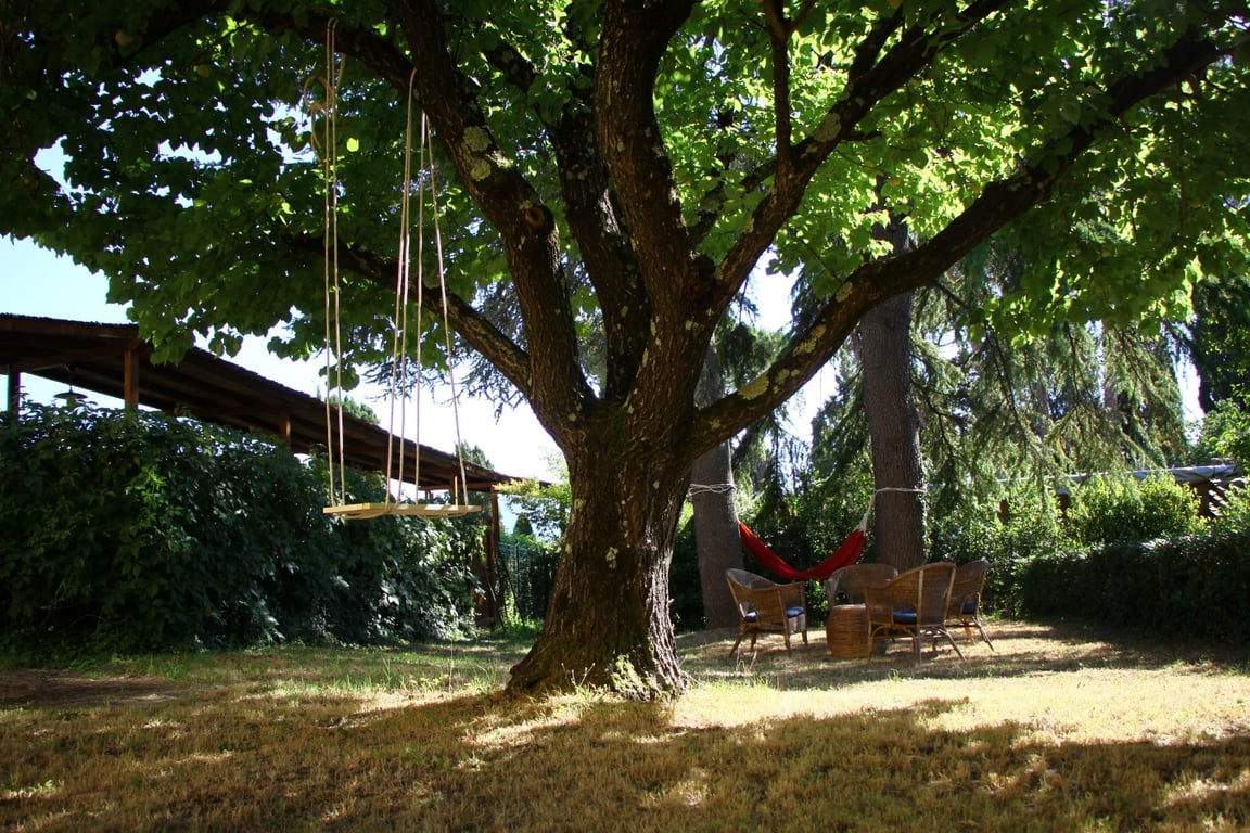 House in Lajatico - Image 3