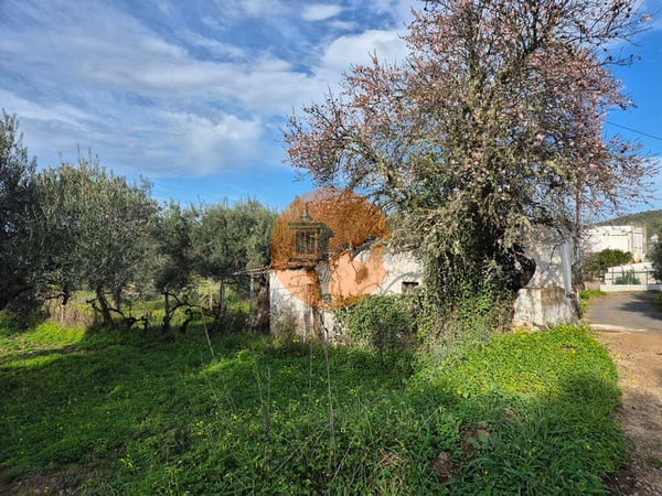 Land in Alcoutim - view 1