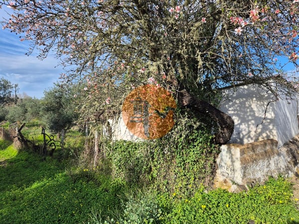 Land in Alcoutim - view 1