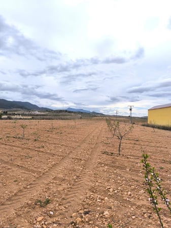 Land in Pinoso - view 1
