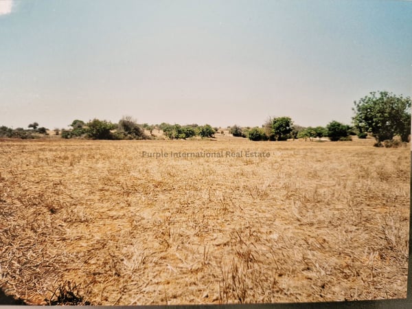 House in Agios Theodoros - view 1