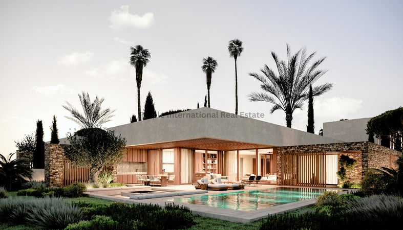 House in Geroskipou - view 1