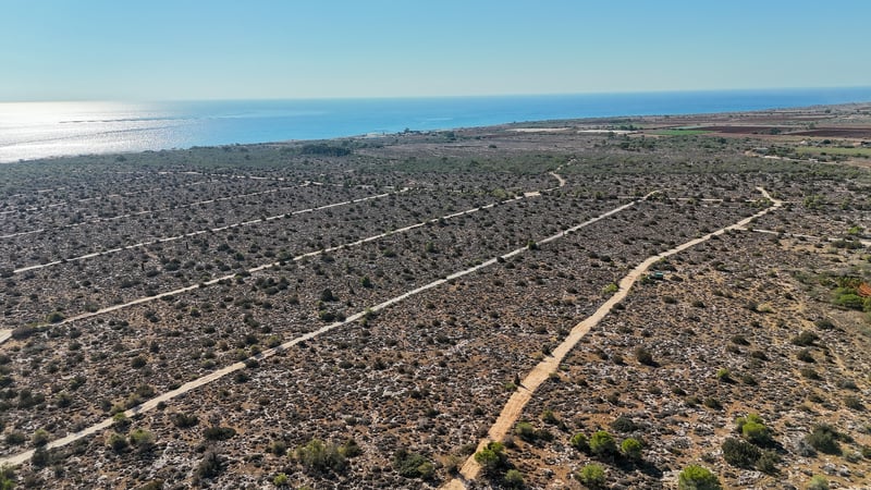 House in Liopetri - view 1