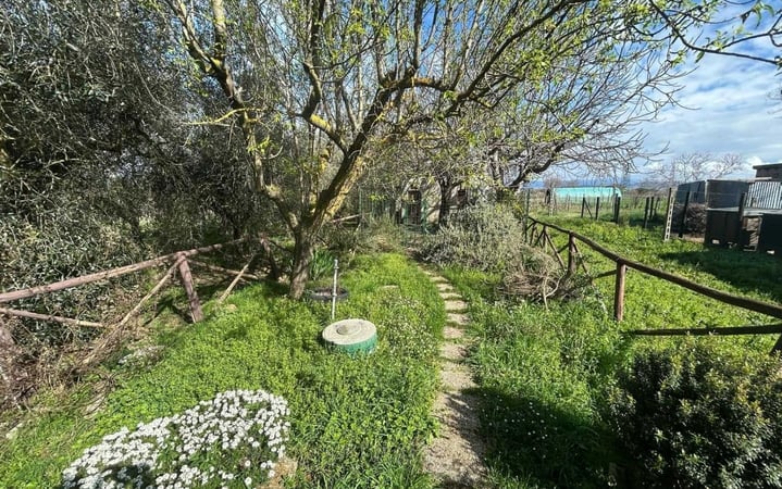 House in Castiglione del Lago - view 1